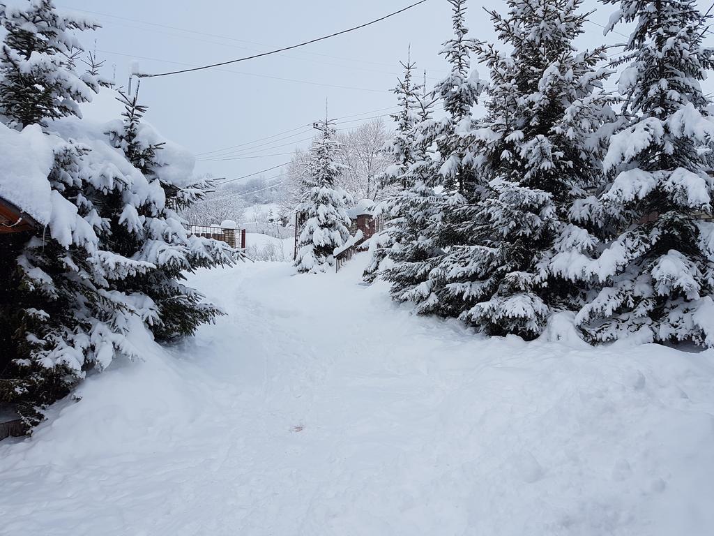 فندق سلافسكيفي  Aspen المظهر الخارجي الصورة
